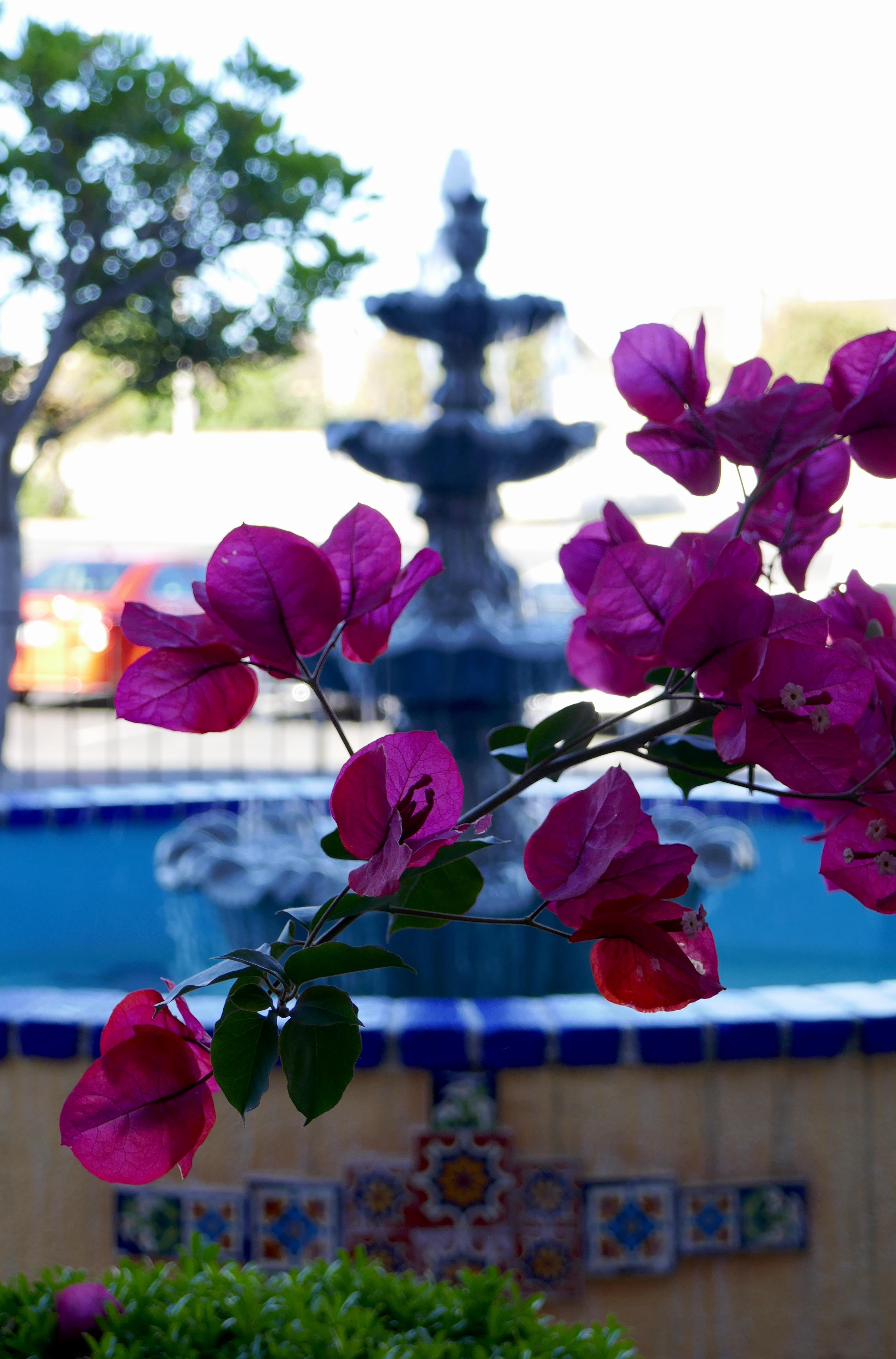 Best Western Golden Sails Hotel Long Beach Luaran gambar