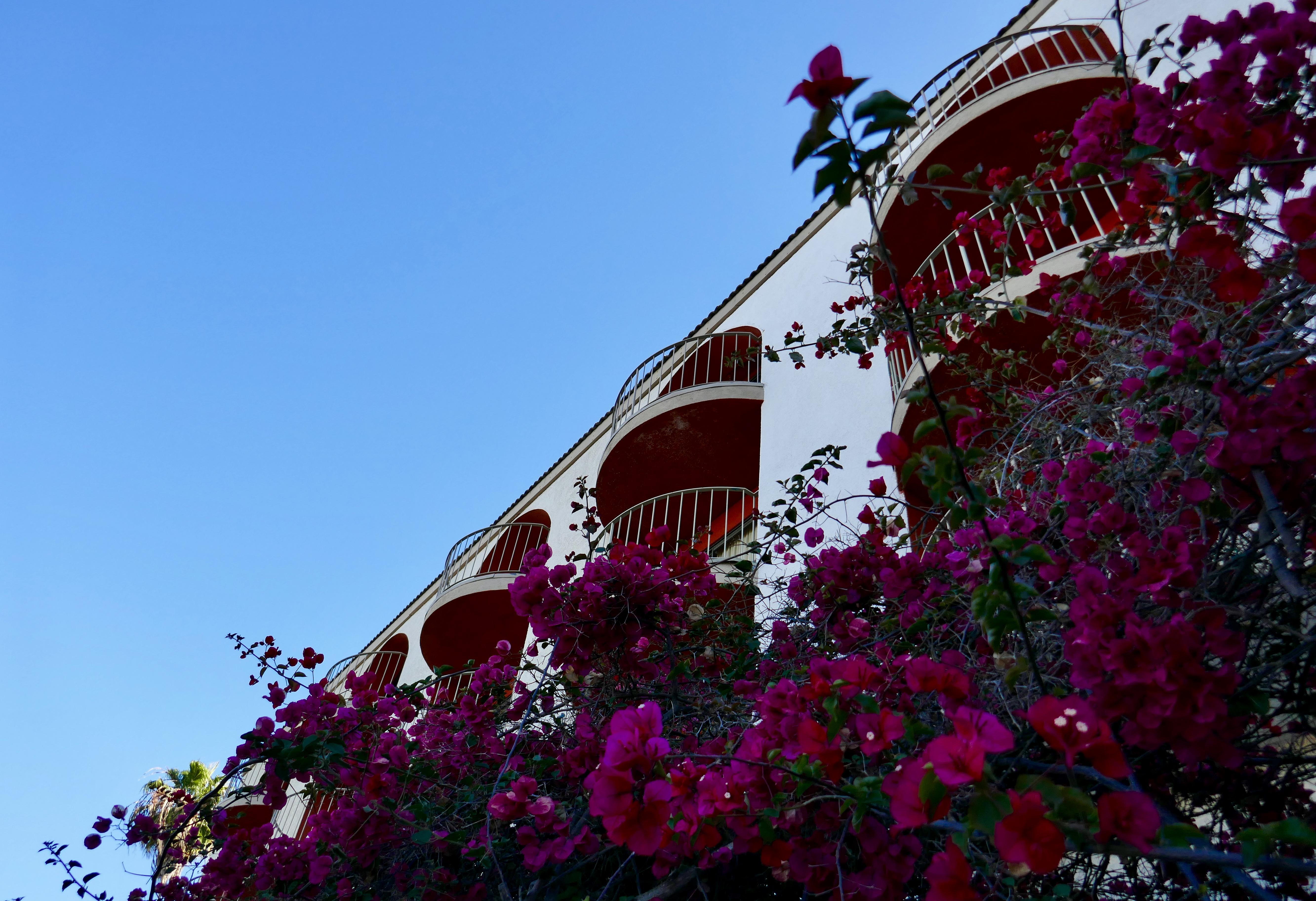Best Western Golden Sails Hotel Long Beach Luaran gambar