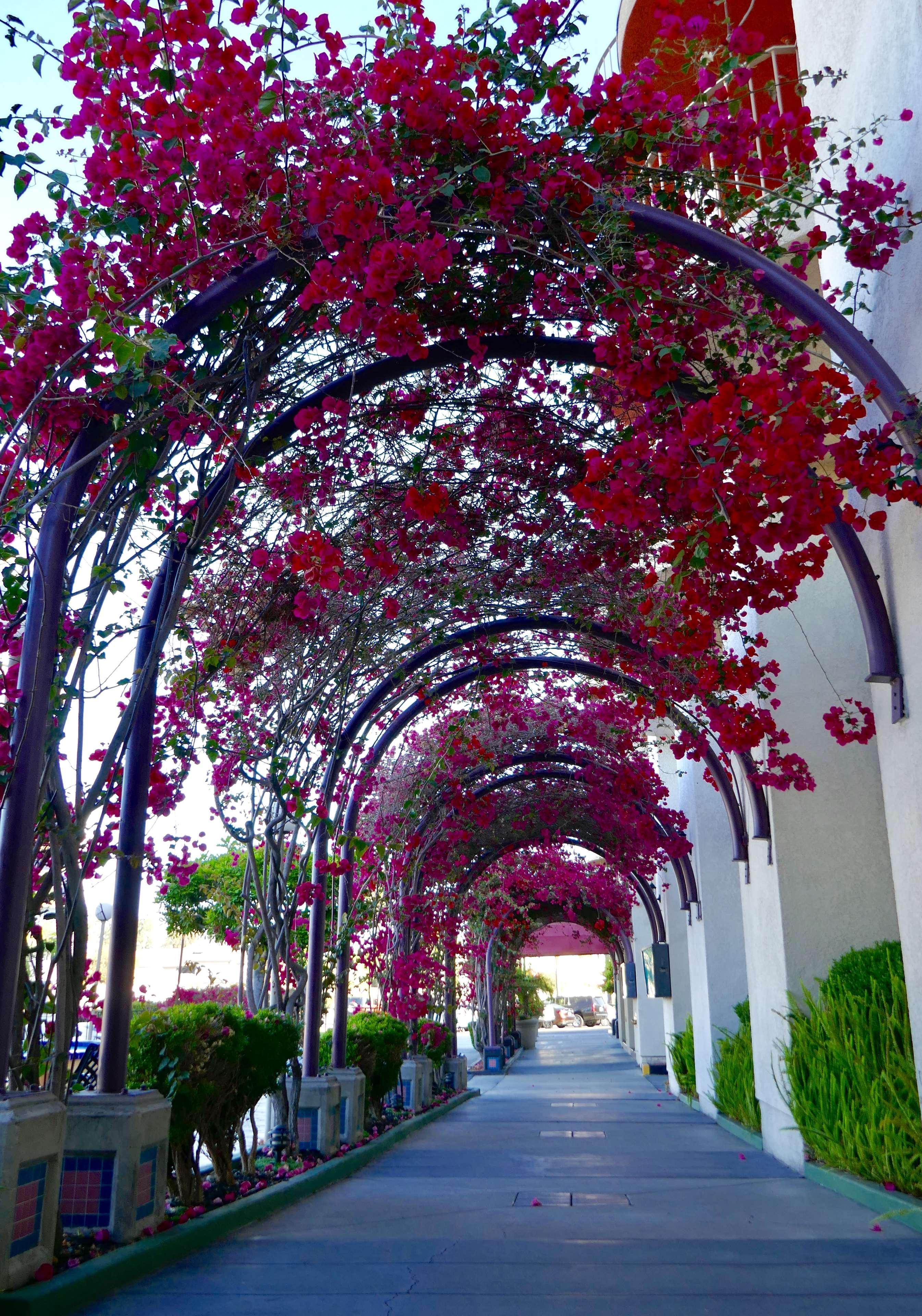 Best Western Golden Sails Hotel Long Beach Luaran gambar